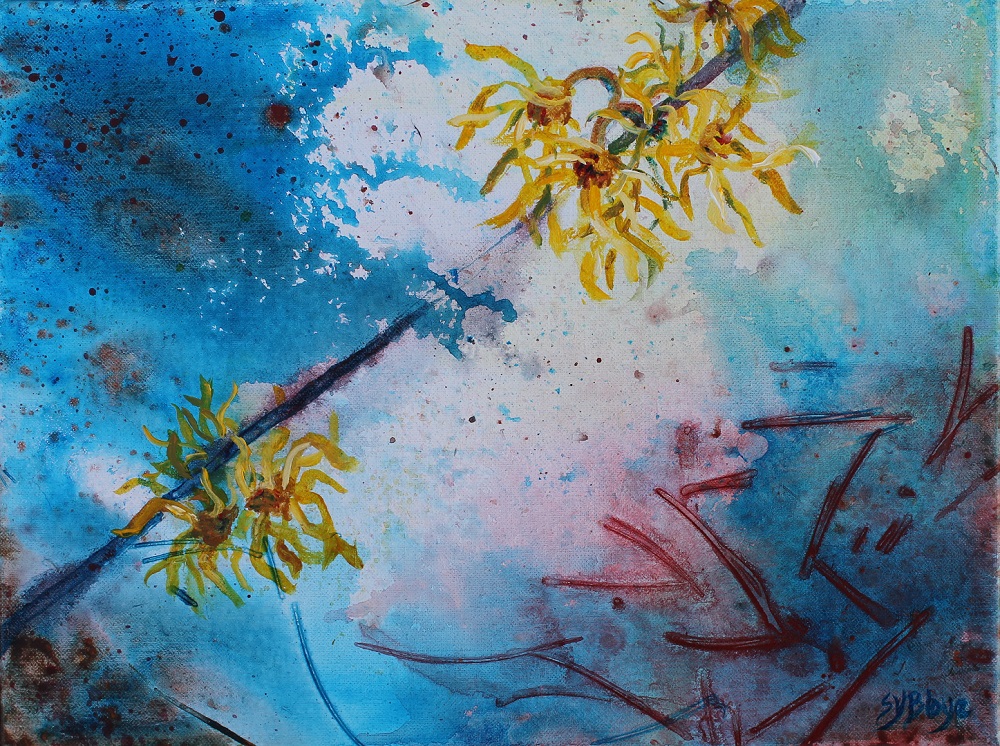 Witch Hazel